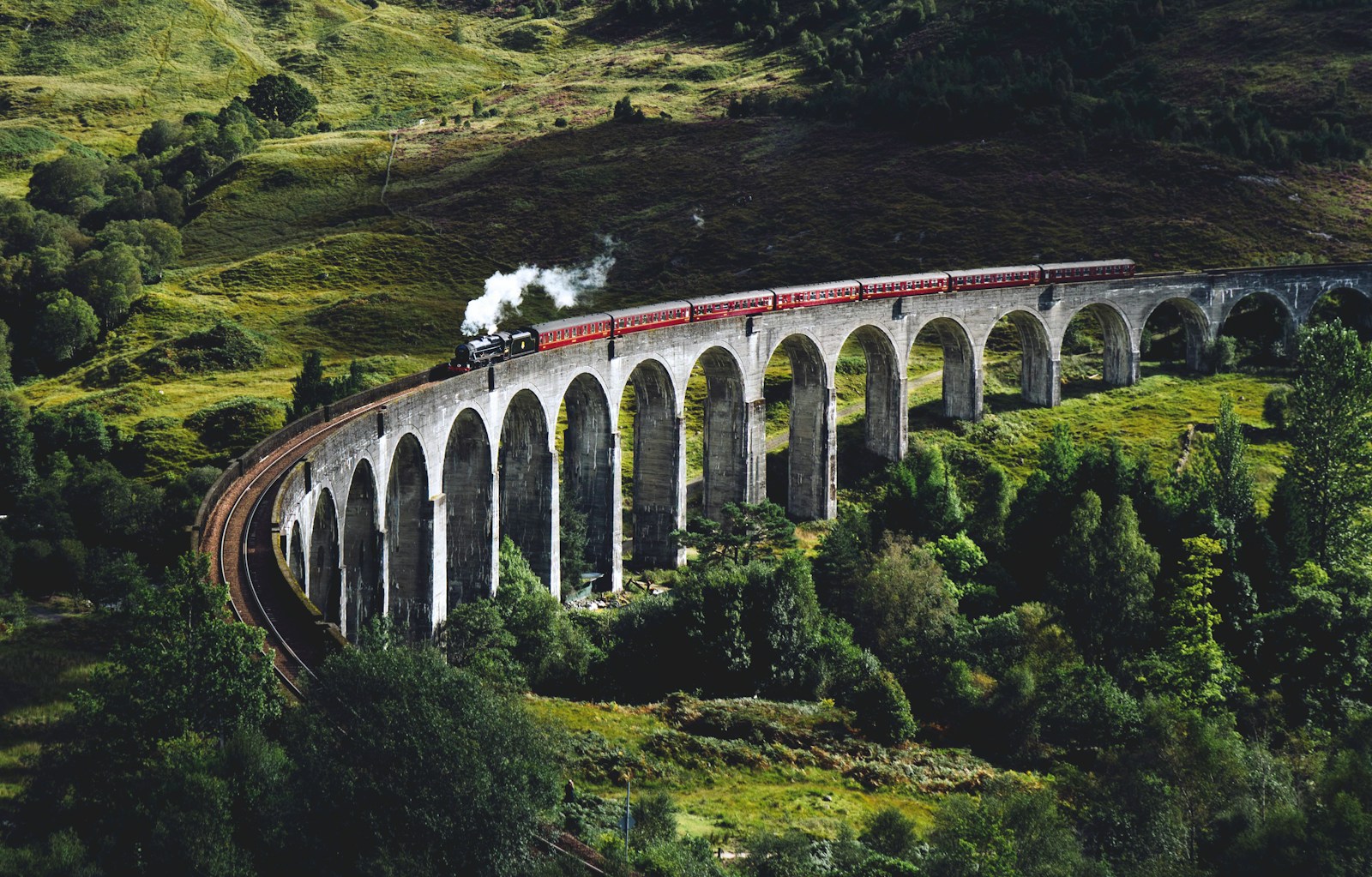 Fort William train on bridge surrounded with trees at daytime