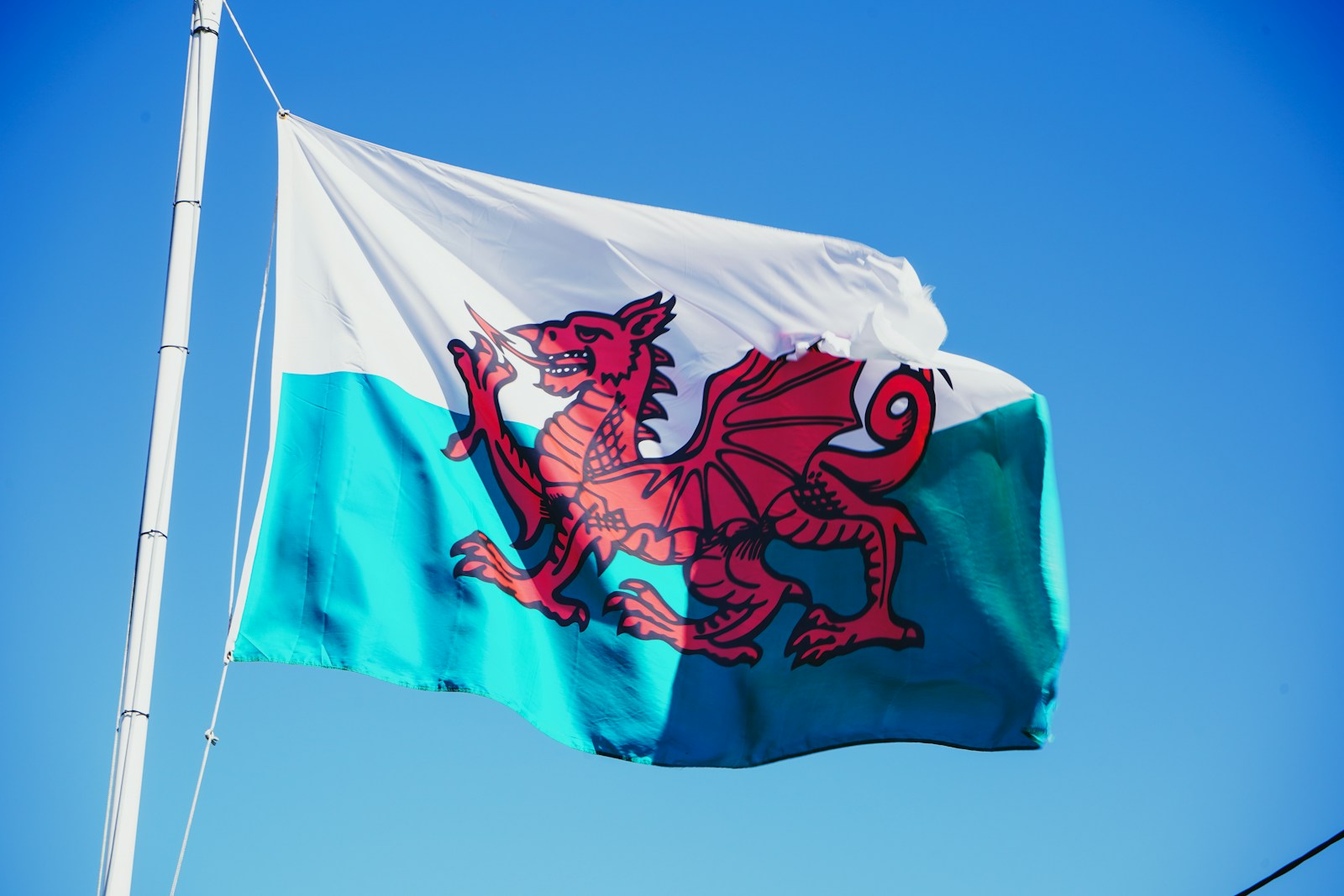 Wales red and white flag with dragon