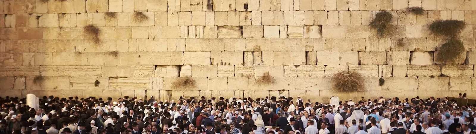 a crowd of people standing in front of a stone wall