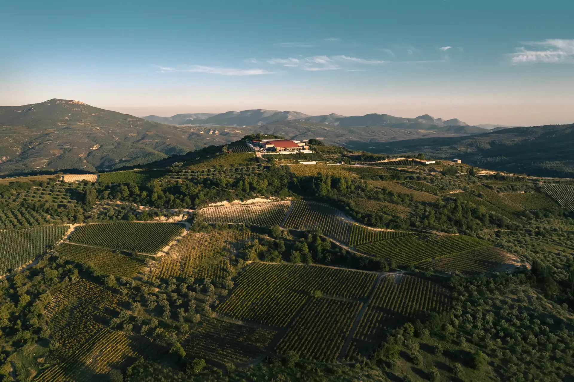 Wine Tasting 02